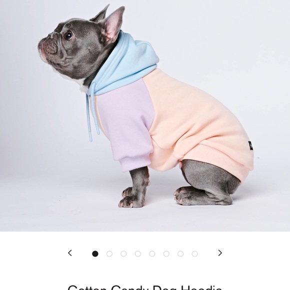 Spark Paws cotton candy hoodie new small - Picture 1 of 3